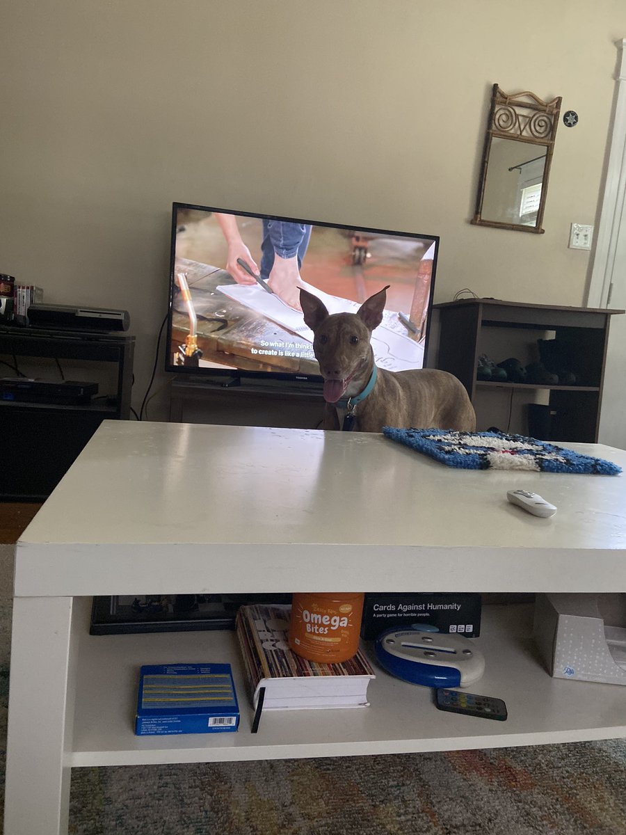 jmecart's tweet photo. Watching tv through Ruby’s ears https://t.co/Mlk7NSNb1Z