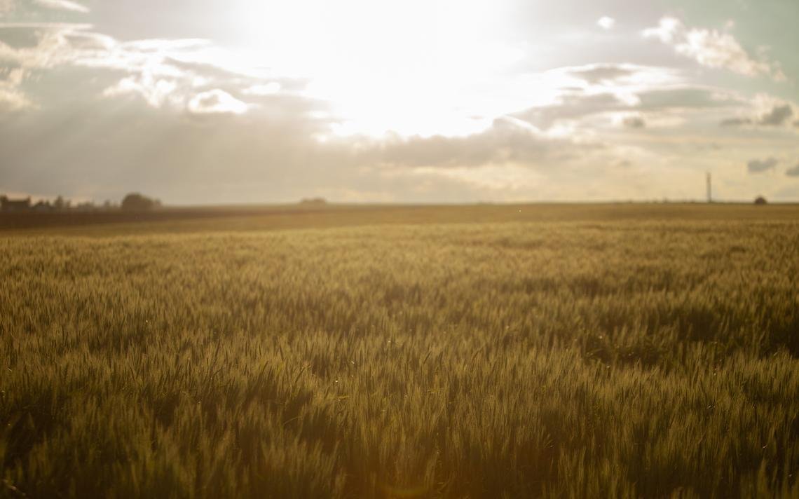 PierreLabMN's tweet photo. #Organic #tackles 'existential threat' of climate change https://t.co/7PvIAYyp1L #ClimatesChange #ExistentialThreat https://t.co/hMVEhbr03F