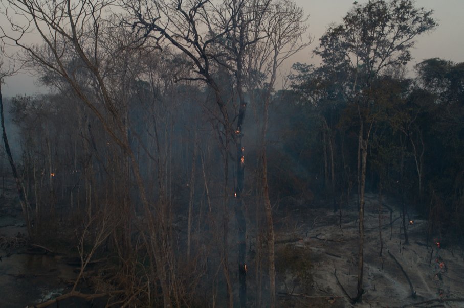 MAB_Brasil's tweet photo. 🔥🌳 Ribeirinhos que vivem nas proximidades do Rio Teles sofrem efeitos do desmatamento ilegal: com prejuízos materiais, de saúde, além dos danos incalculáveis de verem o território arder em chamas #PelaAmazôniaPelaVida

📸 Bruno Cardoso

Confira: https://t.co/gnanyozQgk https://t.co/izAHYxLARr