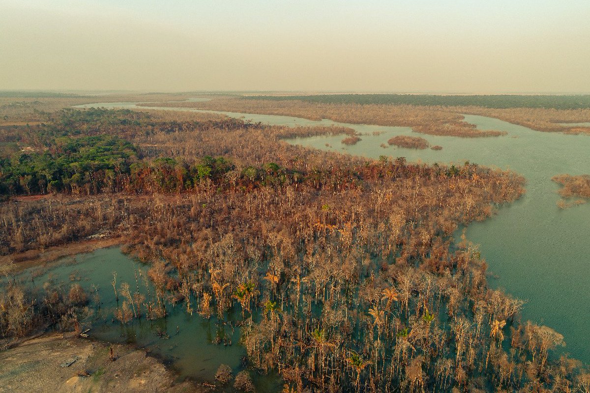 MAB_Brasil's tweet photo. 🔥🌳 Ribeirinhos que vivem nas proximidades do Rio Teles sofrem efeitos do desmatamento ilegal: com prejuízos materiais, de saúde, além dos danos incalculáveis de verem o território arder em chamas #PelaAmazôniaPelaVida

📸 Bruno Cardoso

Confira: https://t.co/gnanyozQgk https://t.co/izAHYxLARr