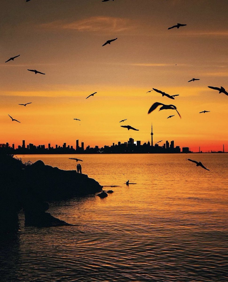 ❌ Congrats on your feature!
🔷 Tag #CreativeContentBuilders for a chance to be featured!
📕 Creator: Mosesgeddes
#photography #photog #photogs #photo #foto #camera #photooftheday #Composition  #ccbports #ccbtravels #silhouette #sunset #toronto #cityphotography #torontostyle #ccb
