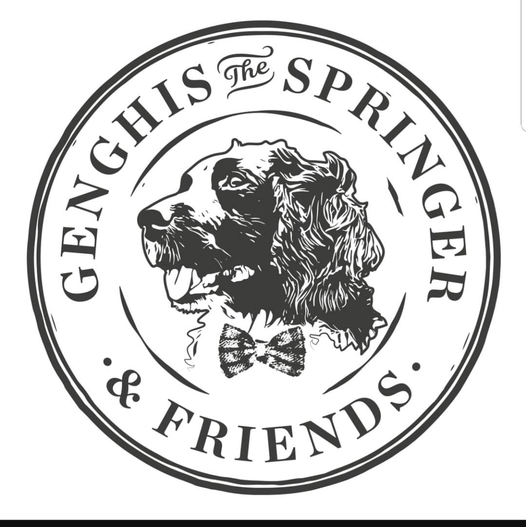 SpringerGenghis's tweet photo. #NewProfilePic https://t.co/JkDsvqPJIY