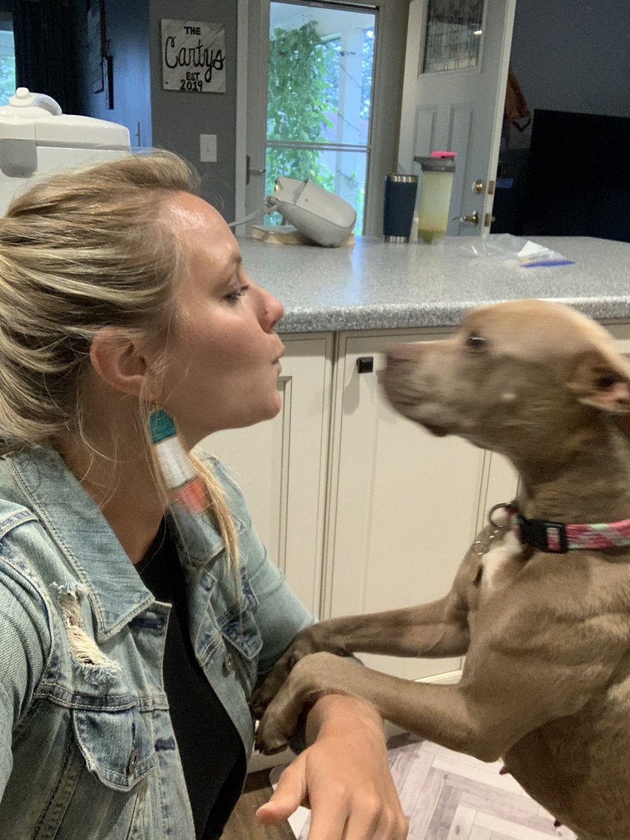 claire_carty's tweet photo. First day of school! Weird and different, but loved getting to be with “My Class Family” today! Had the best happy greeting from my puppy, Daisy! #NoviPride #NoviTogether #WhyNovi https://t.co/OIyhu1xVSZ