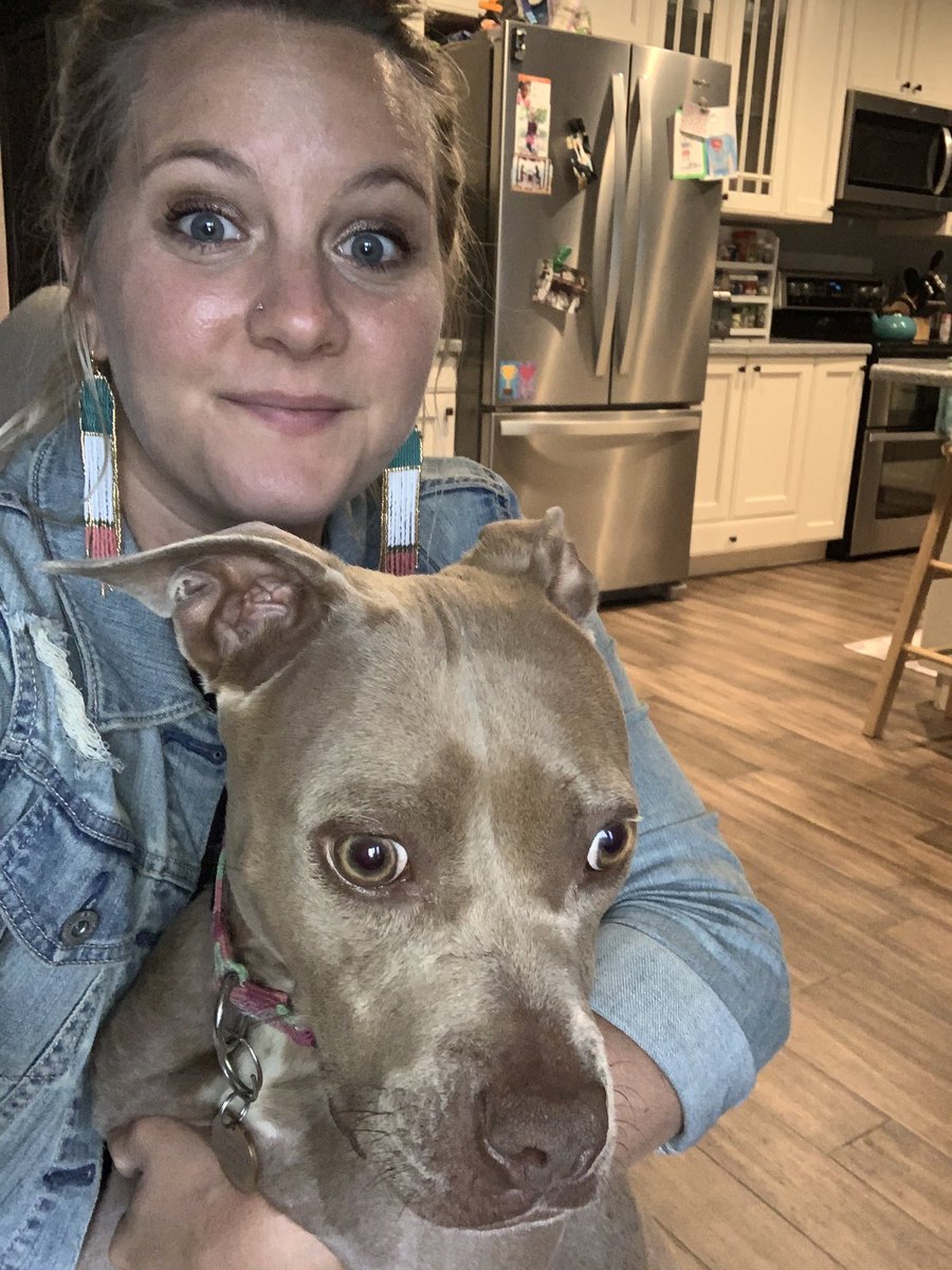 claire_carty's tweet photo. First day of school! Weird and different, but loved getting to be with “My Class Family” today! Had the best happy greeting from my puppy, Daisy! #NoviPride #NoviTogether #WhyNovi https://t.co/OIyhu1xVSZ