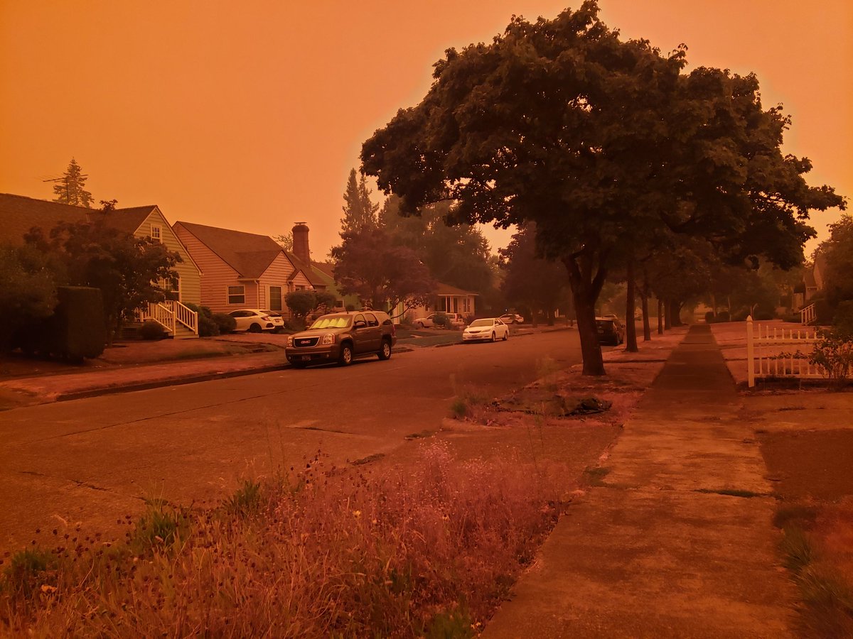 Rachel Alexander tweet media