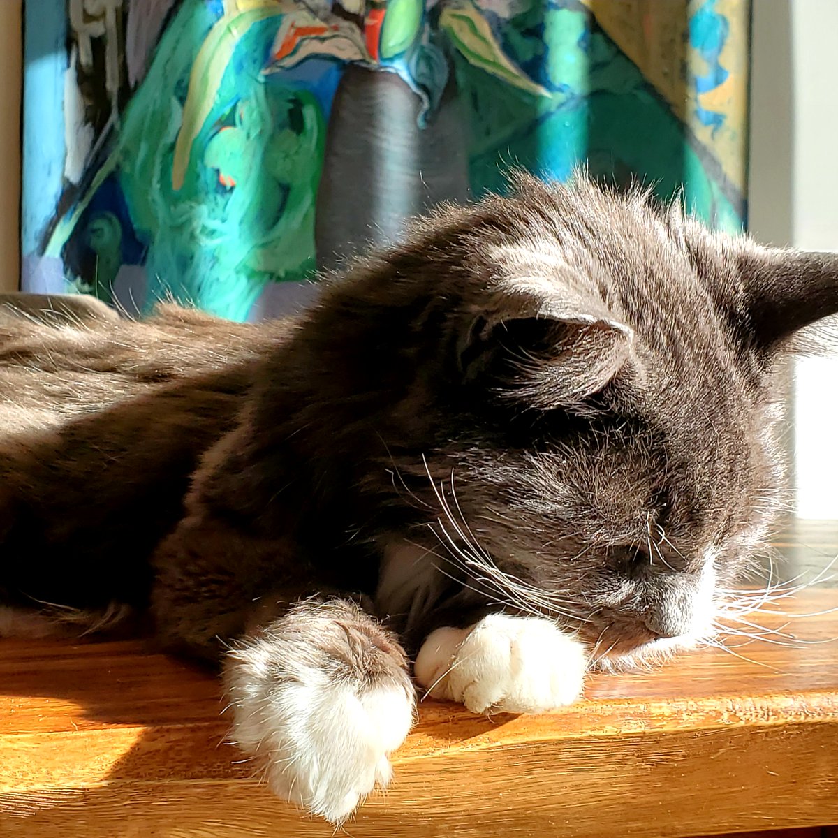 PippinOscar's tweet photo. Blue Time ... https://t.co/M3qzxCiWiQ