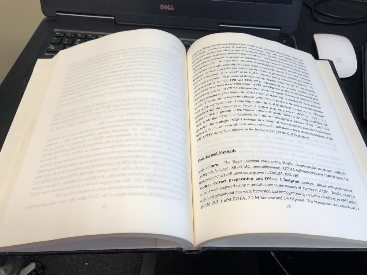 So_lets_kiLab70's tweet photo. Cracked open an ancient tome entitled “David Solecki’s PhD Thesis” today to recommend a nuclear extraction protocol to a lab member #OldiesButGoodies #LastCenturyKnowledge #ScienceTwitter #TuesdayKnowledge #TuesdayThoughts https://t.co/WEFiNwTy64