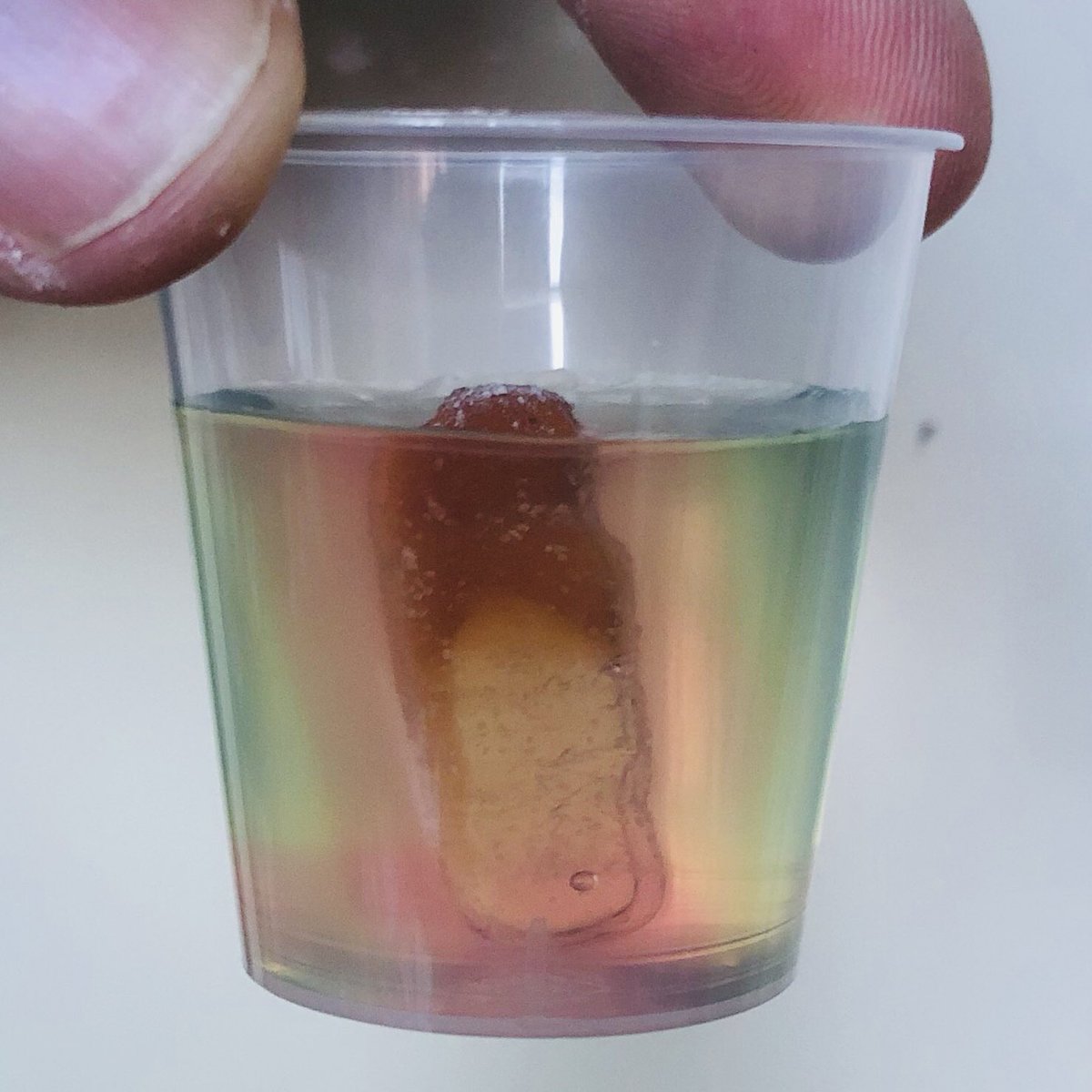 Mr_Haines's tweet photo. Quite like this ideaI came up with the other day.... #sciteach #diffusion with a @OfficialHARIBO #tangfastic and Universal Indicator Agar in a shot glass... Takes about an hour for citric acid to diffuse through the shot glass. https://t.co/O17LL5DHtL