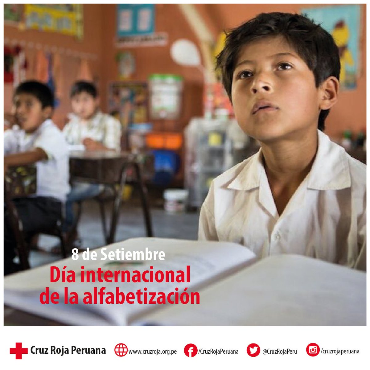 Desde 1967, el Día Internacional de la Alfabetización se celebra cada año para recordar al público la importancia de la alfabetización como factor de dignidad y de derechos humanos, así como para lograr avances con miras a una sociedad más instruida y sostenible.