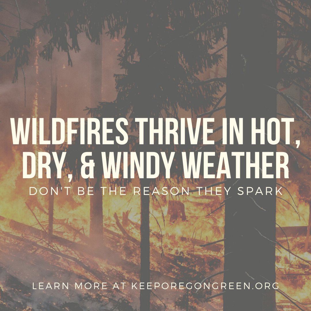 Wildfires thrive in hot, dry, windy weather.