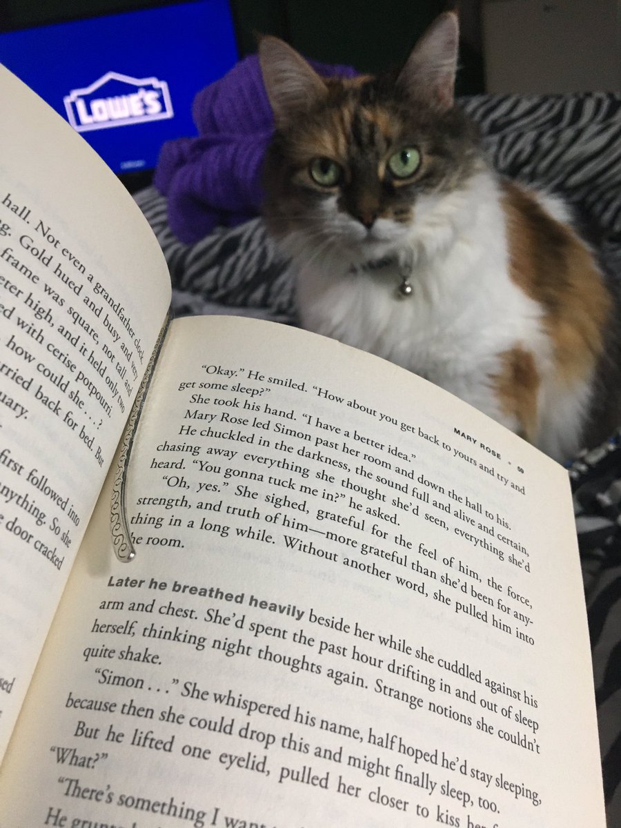 NixAchlys's tweet photo. What chu reading, Meowmy?
#CatsOfTwitter #CatsOfTheQuarantine #CalicoCrew #KittyKawaii #CatsBooks https://t.co/MWaAm6gIw1