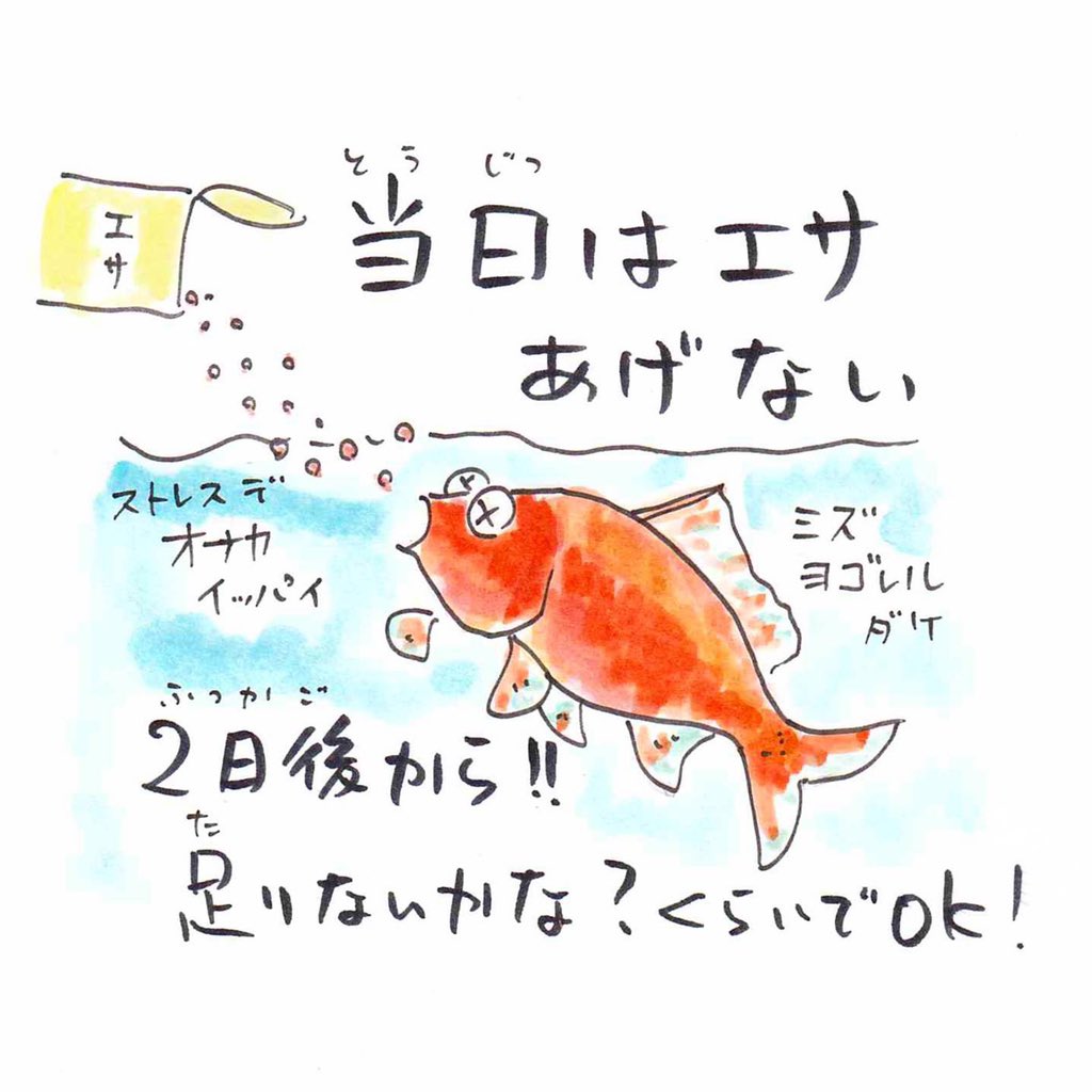 全てが人間のエゴだとしても、アートアクアリウムだけは「好き!」とはあまり言えないなぁ。金魚すくいも、せめて持ち帰った金魚たちが幸せに長生きしますように。豆知識描きましたのでどうぞ。 