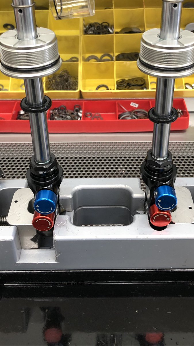 Are these guys smiling at me? #FKDAS