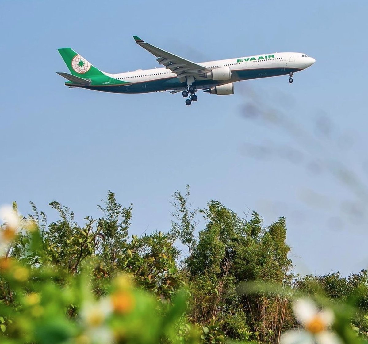 EVAAirUS's tweet photo. A beautiful photo of us captured by Instagram user
๐ท_steven1117_! Spot us in the sky? Donโt forget to tag us. We love to see all of your wonderful photos. โ๏ธ๐
#EVAAir #evaairways #flyevaair #iFlyEVA https://t.co/1KKzdi6scJ