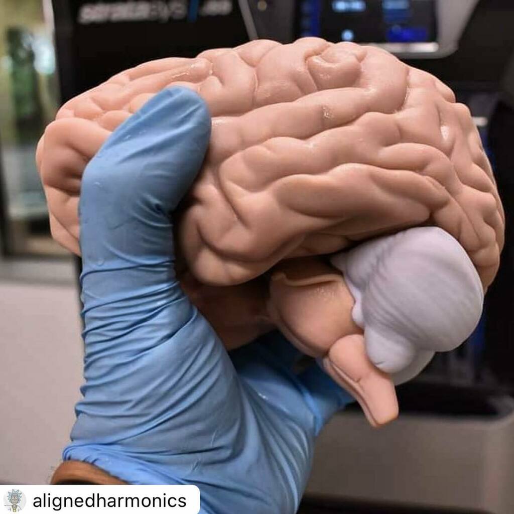 3dheals's tweet image. #Repost @alignedharmonics with @reposter.app
.
Over the long weekend, my robotic minions were #3dprinting more nifty hyper-realistic #medicalmodels as they don't observe "Labor Day". It was pretty amazing to walk up to the #stratasys #J55 here at the GoEngineer Auburn Hills …