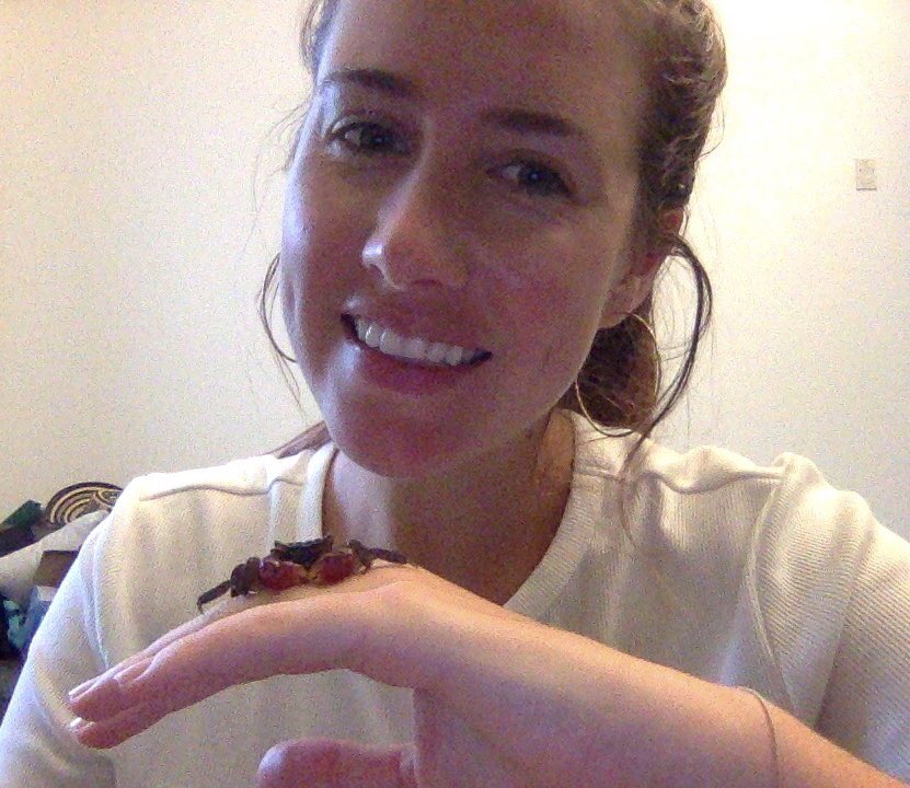 ChristinaAFin's tweet photo. meet my newest zoom lecture buddy 🦀🦀 https://t.co/g643u09NPj