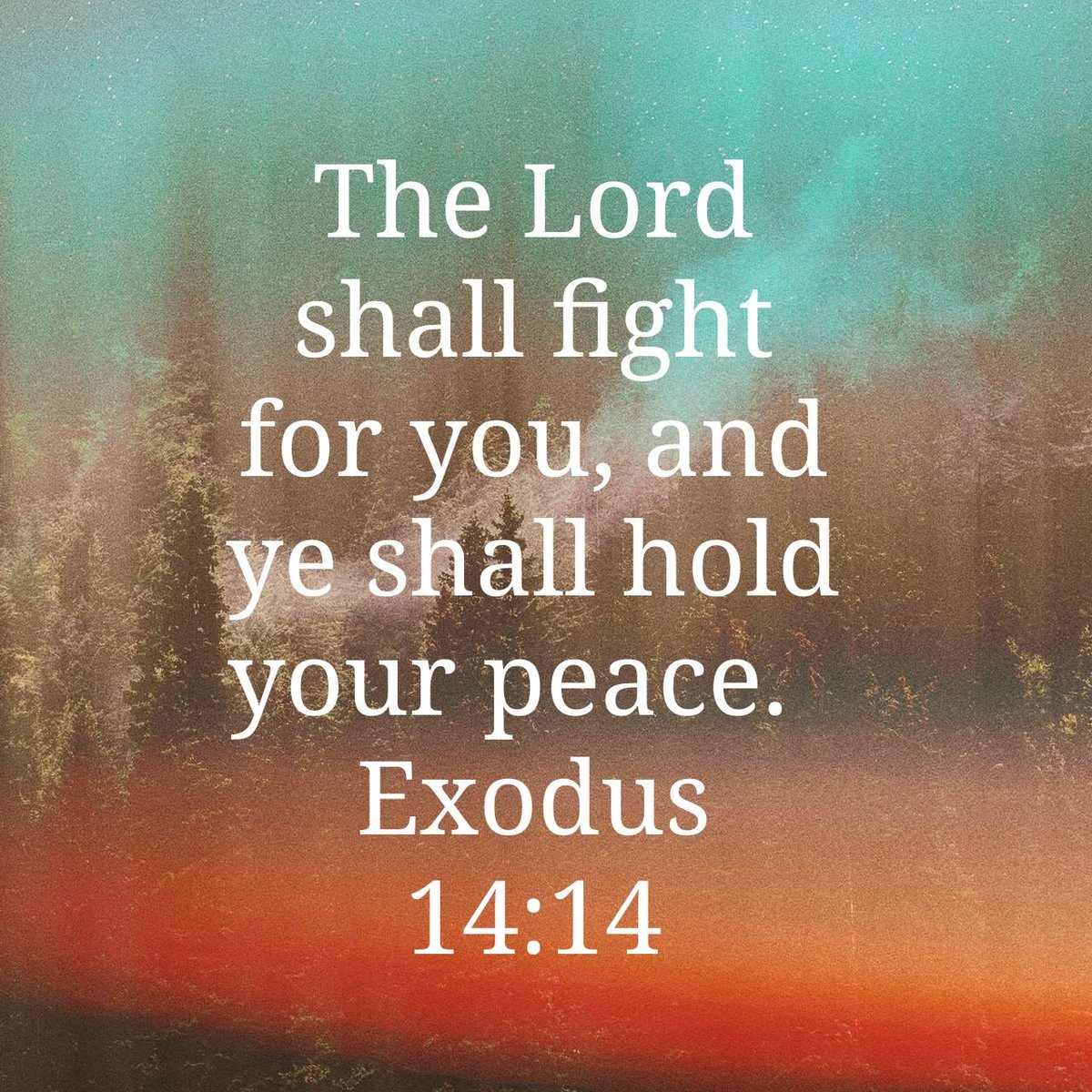 gotjustus's tweet photo. The Lord shall fight for you, and ye shall hold your peace.
Exodus 14:14 KJV
https://t.co/buvamIxoVI https://t.co/tIL9EAXfzz