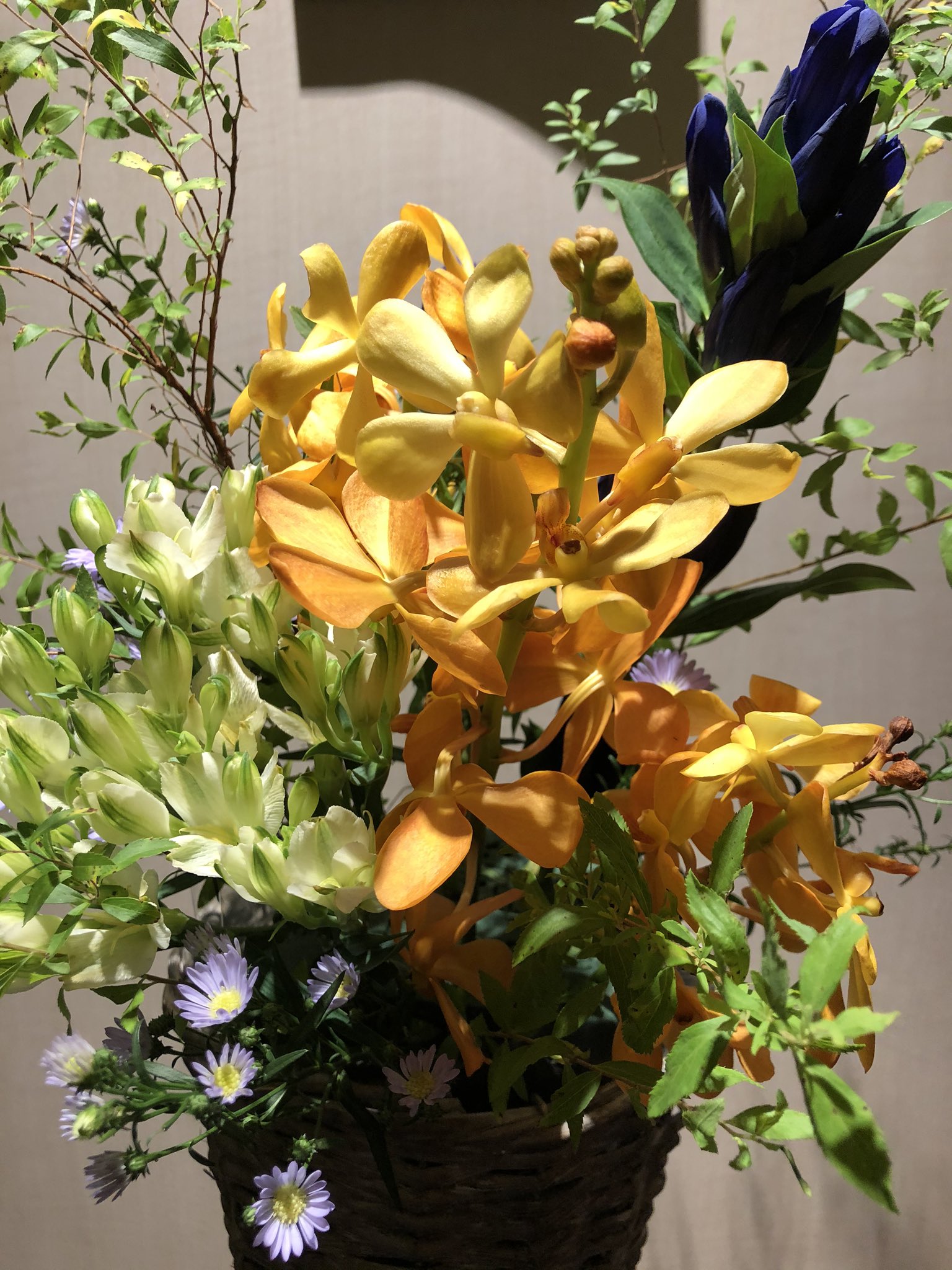 スカイスパyokohama 本日の生花 モカラの花言葉 優美 アルストロメリアの花言葉 友情 ユキヤナギの花言葉 気まま ルスカスの花言葉 陽気 T Co Lkrilvkn0g Twitter