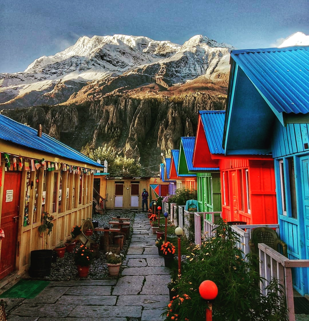 nepalplanettrek's tweet photo. Good morning everyone π
π»
#nepal #trekking #annapurna #annapurnacircuittrek #trekkingfun #localguides #nepal8thwonder #nepalvisuals #visitnepal #visitnepal2021
#nepalguideinfo #nepalplanettreks
https://t.co/OLlJ7mQOCe
Email:sanjibtrekguide@gmail.com
whatsApp+9779841613822 https://t.co/KWvKtnEz9t
