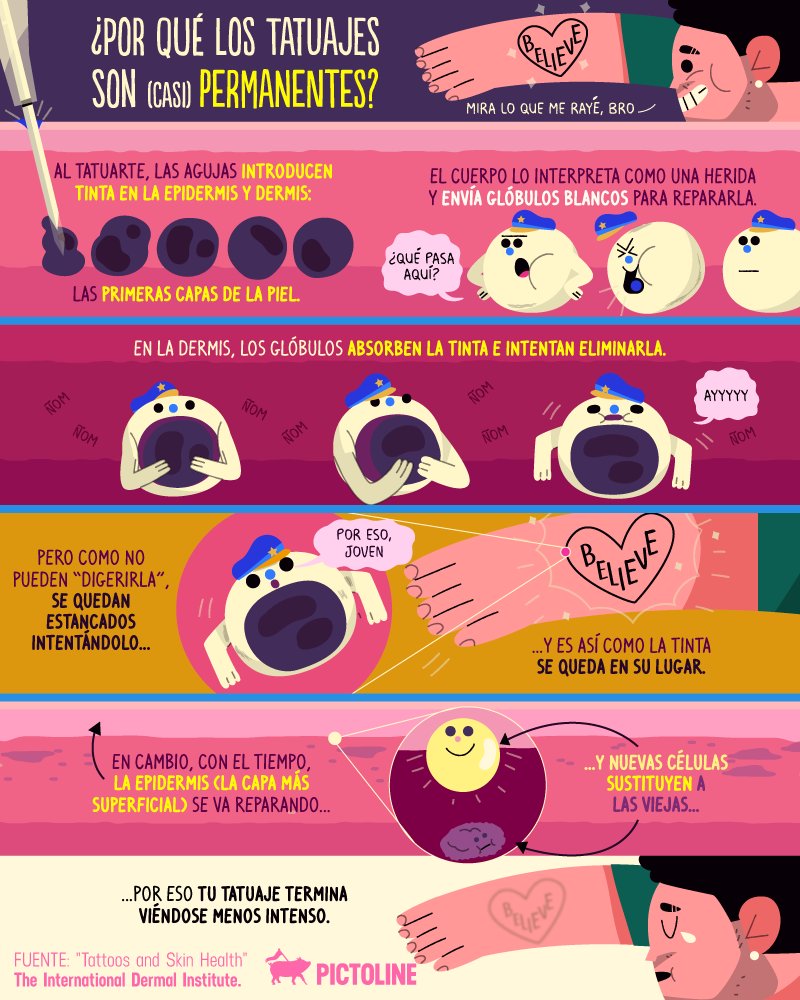 pictoline's tweet photo. Mi tatuaje cuando me lo hice: TE AMO ❤️
Mi tatuaje cuando me arrepentí: TE AMORDIDO UN PERRO ❤️

¿Por qué los tatuajes son (casi) permanentes? 😱 https://t.co/RqPeBKdWWw