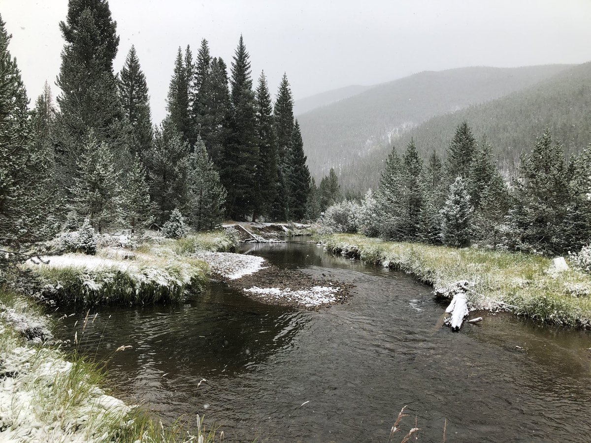 Richard J. Gergasko tweet media