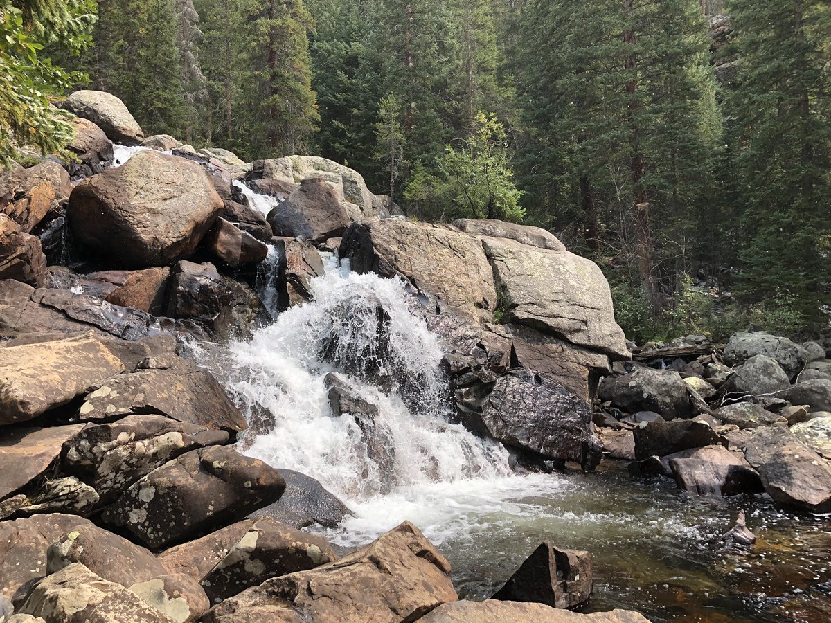 Richard J. Gergasko tweet media