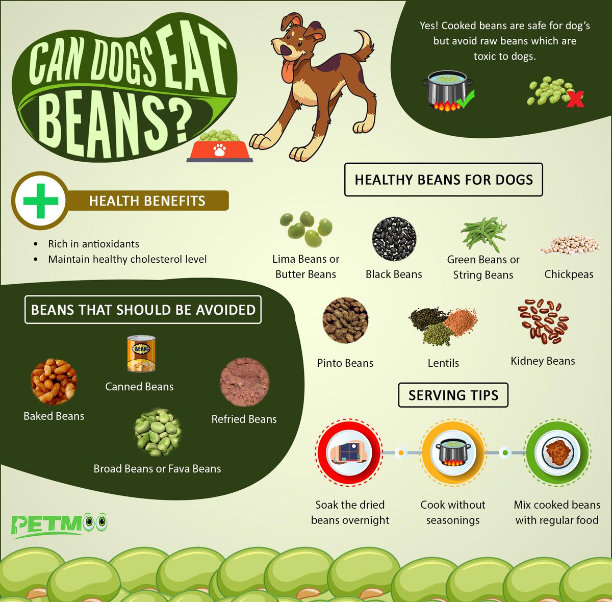 CupsForPup's tweet photo. Food your Dog can eat. 
#beans #dogfood #healthyfood #foodstoavoid #servingtips #cupsforcups https://t.co/0WsfliXJ3R