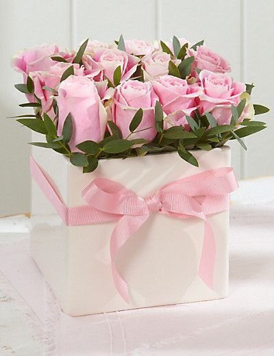<a href="/YYOOUUSSU/">Eng.Yuosuf-H يوسف</a> <a href="/Nelidarojasb2/">Nelidarojasb</a> <a href="/EllenAiden/">Ellen Aiden</a> <a href="/m_studart/">Carolina Studart</a> <a href="/scarlettzyp6411/">scarlett</a> <a href="/arshadk90774920/">arshad khan khattak</a> <a href="/koliberki/">Aldona 🌹🌻🪷</a> <a href="/SusanRizzo12/">Susan Rizzo</a> <a href="/saulastam/">Sastam_25</a> <a href="/Ponchda9/">Ya ya smile 😊😊</a> <a href="/SKID1144/">OLIVERESKRIDGE</a> <a href="/PolishRoyalGoat/">Ana and her Goat</a> <a href="/LudmilaKliegl/">Ludmila Kliegl..*( Lida)</a> <a href="/PattiBrookd/">Patti Brookd</a> <a href="/Lunarteddy/">Lunarteddy</a> <a href="/jrmtm50/">jose</a> <a href="/YUcuoDydRuZKyT3/">💝 उदय भानु सिंह 💝</a> <a href="/Mariam44115072/">Mariam</a> <a href="/19marino74/">Marino Lo Chiatto</a> <a href="/WomanMother1/">Woman/Mother73</a> <a href="/TheLadyDyan/">LADY D</a> <a href="/Samanta33533076/">Samanta🌸🐾😻🐾🌸</a> <a href="/Sami65162544/">Sami</a> @Carlaxa63784237 @SUDEBBI88994521 <a href="/TeresaR86980558/">Teresa Roberts</a> <a href="/Kamel11821020/">Kamil</a> <a href="/HassanGafour/">Hassan Gafour</a> <a href="/GuidoTarik/">Guido Tarik</a> <a href="/Guyatt671/">Nightman......</a> <a href="/Alexa17101614/">ALEXA 🍃💋🍃</a> <a href="/ManishP60508798/">Manish Pardeshi</a> @CaroHasim <a href="/KamellMel/">mel kamell</a> <a href="/ZABUTARIQ/">𝑍𝑒𝑦𝑎𝑑 𝐴𝑙𝑑𝑎𝑤𝑑𝑎ℎ𝑖</a> <a href="/TINAEN5/">TINA EN</a> <a href="/Titas37/">Benito -</a> <a href="/LuisMiguelClav1/">#MutualFollowers🤝</a> <a href="/robtropper/">Robert Tropper</a> <a href="/EjazNoorii/">Ejaz Sadiq Noori</a> <a href="/AlexandraDeuts5/">Alexandra Deutsch</a> <a href="/FaouSouma/">SOUMA Faou</a> <a href="/KaradayiTuran/">TRN KRDYI</a> <a href="/GoravKavyansh/">✨🌸𝕂𝕒𝕪𝕖𝕤𝕥𝕙 𝔾𝕠𝕣𝕒𝕧🌸✨</a> <a href="/Silviadomi22G/">♕Lady in Red ❤</a> <a href="/mastanajan420/">hossa</a> @MarieKefir <a href="/SergioA60798547/">Sergio</a> <a href="/Kasione8/">Kasione</a> <a href="/one_seize/">@one seize</a> Saludos Cordiales  Queridos Amigos 
 🌸.....🌸.......🌸.......🌸......🌸.......🌸