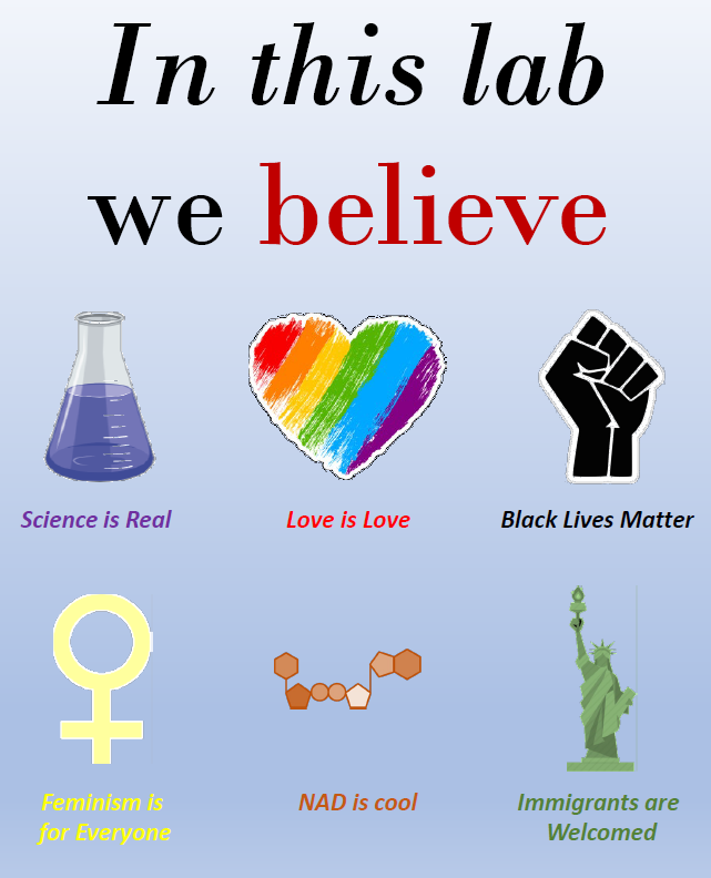 ClubCambronne tweet media