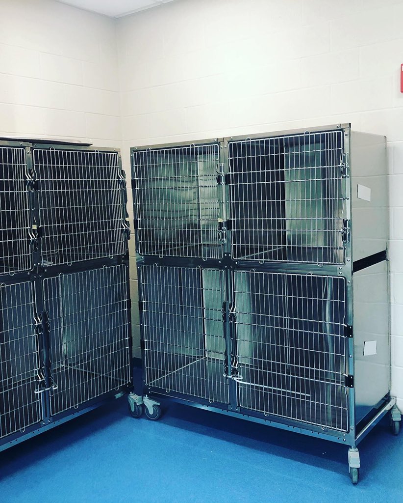 Some of the guest accommodations here in the new vet tech space!