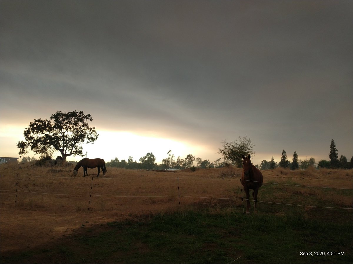 AbEquestrian's tweet photo. North Auburn, California @kcraFinan all smoke looking towards Penn Valley https://t.co/LqVT5f1EZh