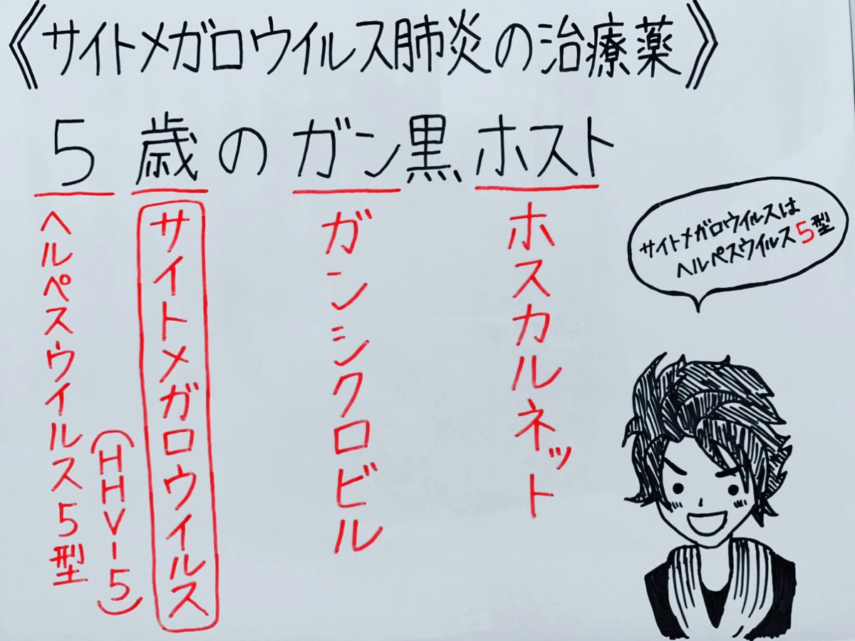 べんぜん 薬学生インフルエンサー サイトメガロウイルス肺炎の治療薬 のゴロ 全てのゴロが見たい方はinstagram T Co Gsxryk7fvw