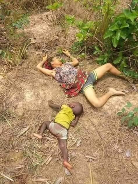 bomba_kc's tweet photo. @BashirAhmaad Terrorism &amp; Hardship, killings of unarmed youth all is achievement?.. Well done! https://t.co/WdlM2Q42Sl
