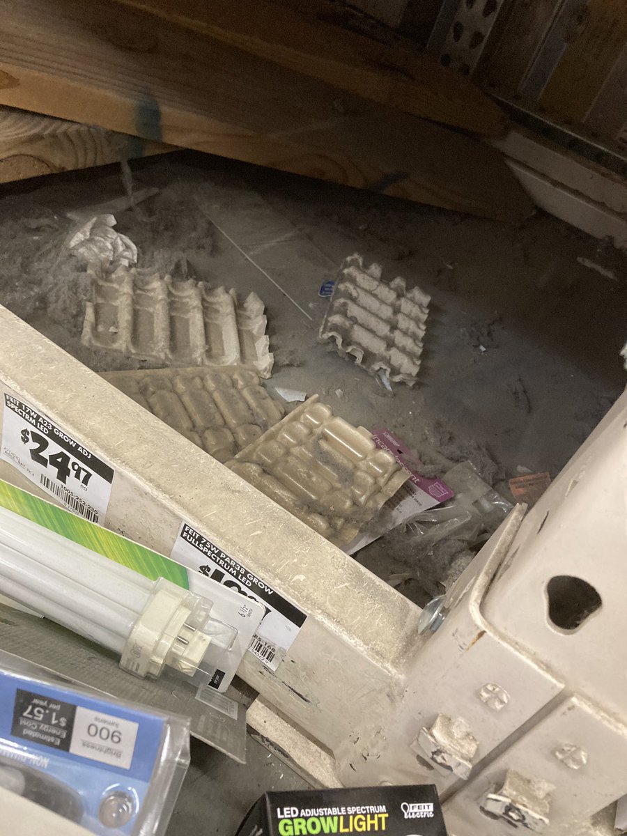 MollyTorgerson's tweet photo. Here in D27 weβve been busy getting ready for Inventory, including doing some rack diving! Great job and thank you to Viktor V and Clinton!
@hammertime4737 @RyanWoodTHD1 @baysidekapowski @THDGabeC @Gretchen0G #D19 #Inventory #rackdiving #WestIsBest @HomeDepot8944 https://t.co/vNEZOfmROG