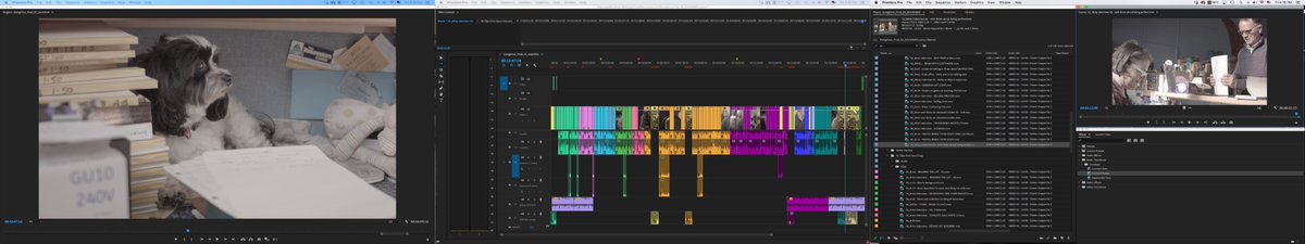 telling_stories's tweet photo. #timelinetuesday for a new short documentary on our local auction house Hayward's. Tip to help story balance: redefine Premiere's coloured labels to include each of the 12 'Hero's Journey' story stages. Here orange is 'tests, enemies, allies' and light green is 'ordinary world'. https://t.co/lEpDy0ulTX