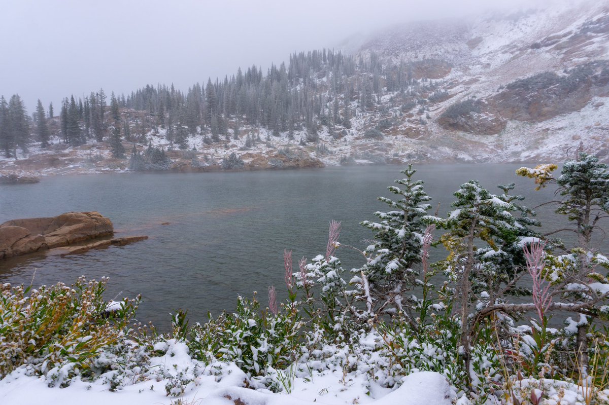 AltaSkiArea's tweet image. We prayed for rain and got snow instead.
😕
#AltaProblems #2020Problems