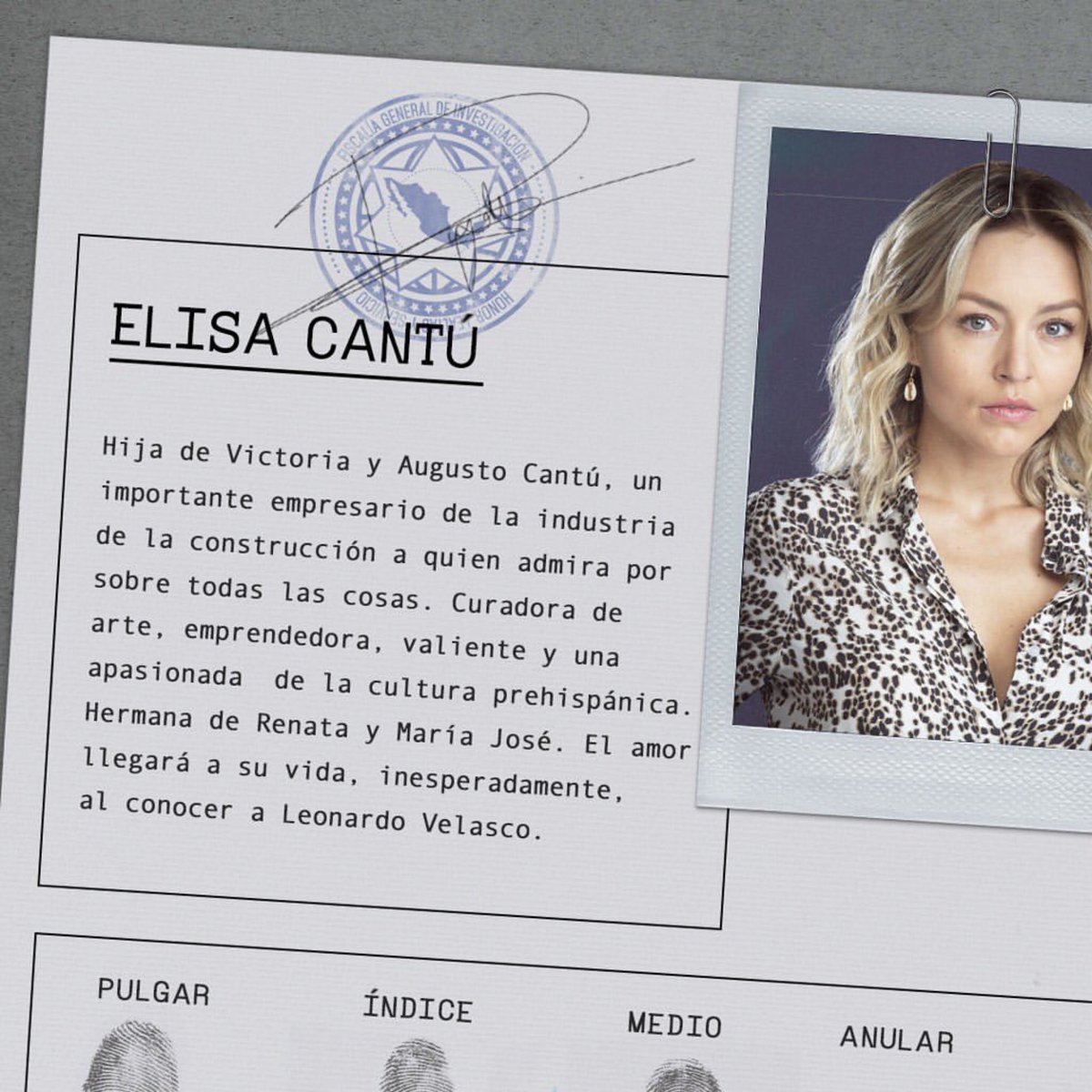 Team Angelique Boyer tweet media