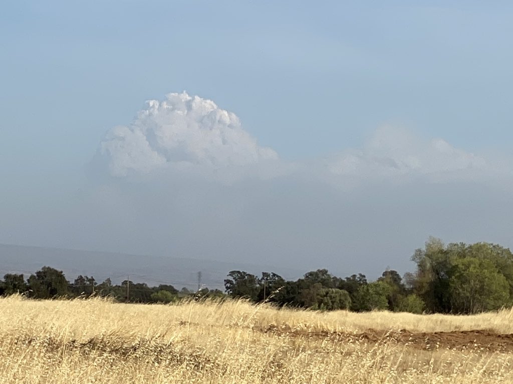 mofilly's tweet photo. #BearFire / #NorthernComplex as seen from Red Bluff #cafire #cawx https://t.co/Uyk0vrThSF