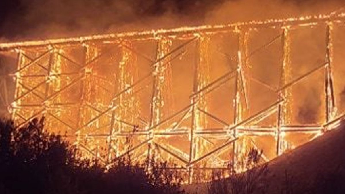 Pic courtesy: Brian Stott