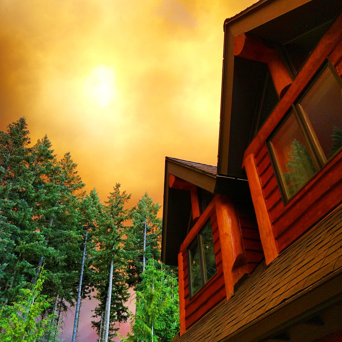 RadRachelLove's tweet photo. We live in #Beavercreek, #Oregon and there are fires in all of our neighboring cities.
Here is a #triptych of the #MolallaFire southwest of our house showing the smokey red\orange sunset.
We are safe at the moment.
🙀🔥🙀🔥🙀🔥🙀🔥🙀
#ClackamasFire
#FireSunset https://t.co/KfwyNA9DIl
