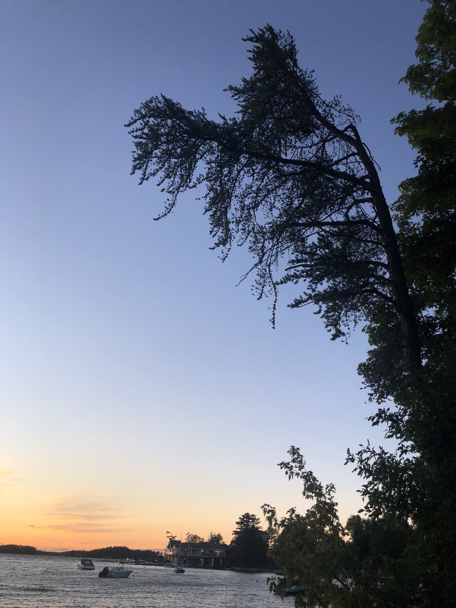 Audrey van Petegem tweet media