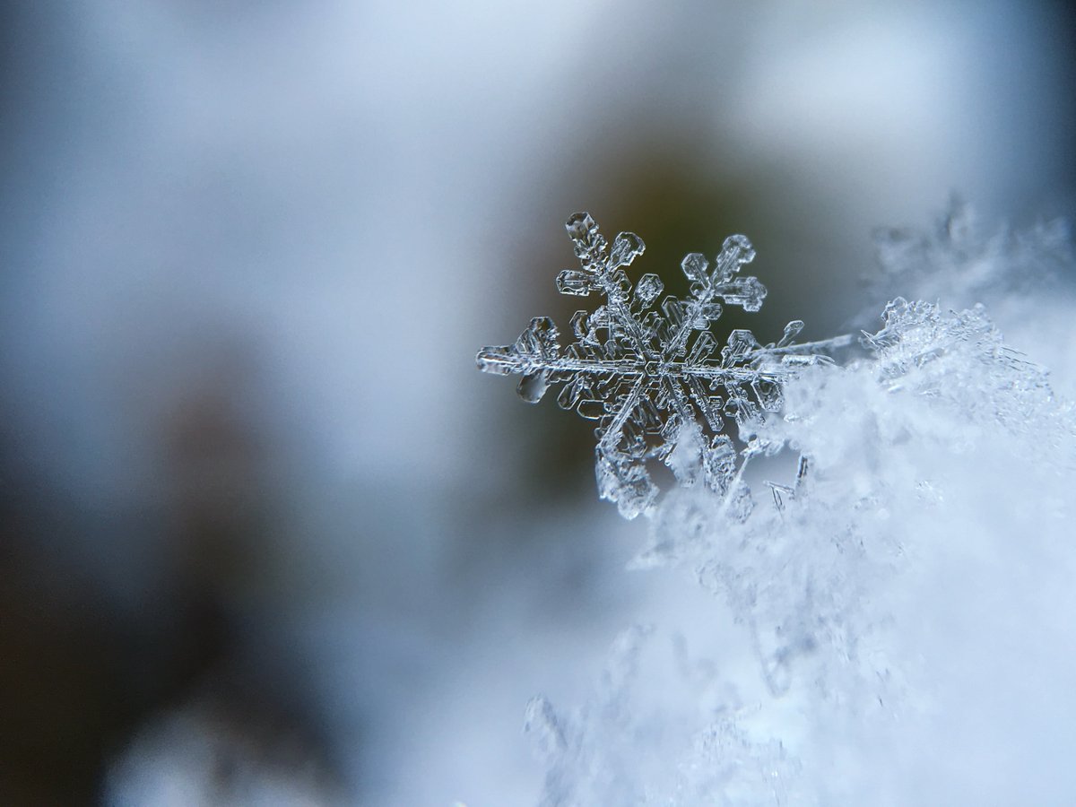 TheToday_News's tweet photo. Snow fall is in tonight's forecast! Expect a low of 30 degrees leading into tomorrow's high of 42 degrees. What are you doing tonight to stay warm? https://t.co/Pe9bce66mf