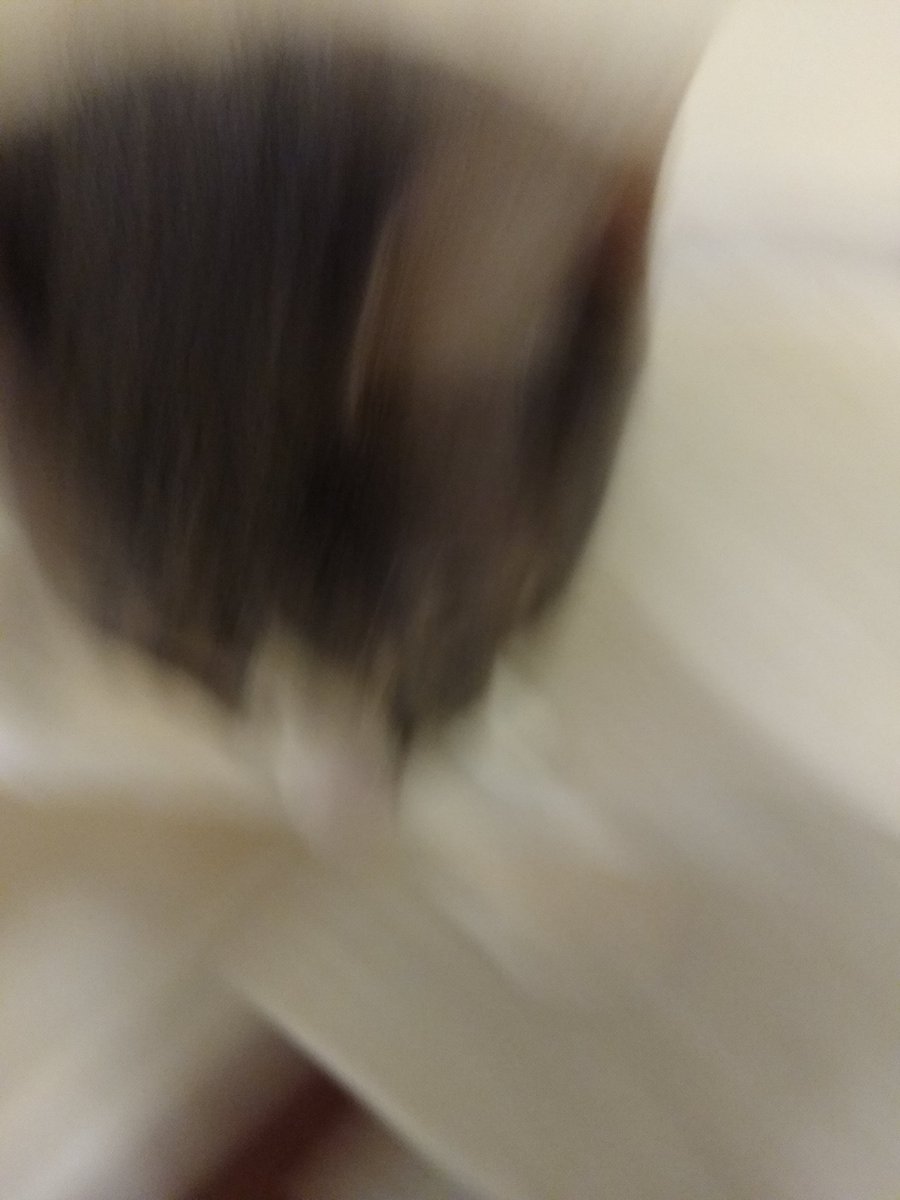 A thread of my cat for those who need a distraction feet my body randomly