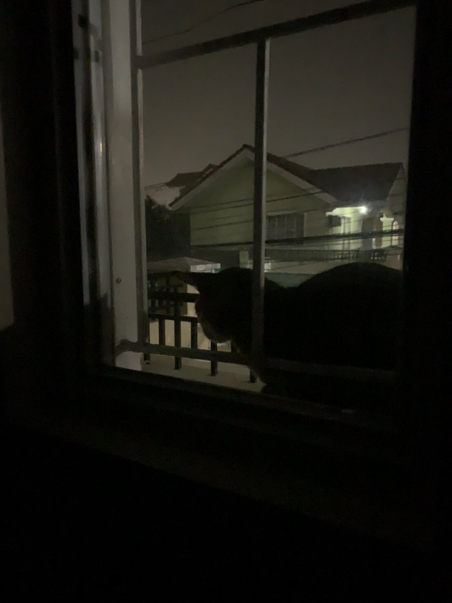 Mac93204703's tweet photo. sometimes I remember the scine of Harry Potter...from the view of our window...maybe too much imagination.

#midnight #harrypotter #cebu https://t.co/h0deMvASRN