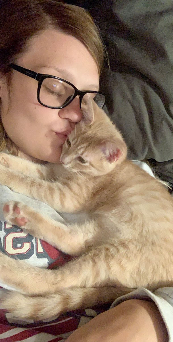 peyt_cates's tweet photo. This is Britney B, we got her to foster her but I fell in love with her and my pregnant self would cry at the thought of giving her away. But as she’s getting older our allergies are starting to get REALLY bad as we are both allergic to cats. https://t.co/jz0wZE11Vi
