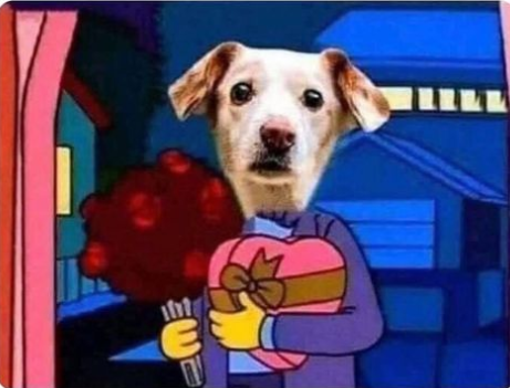elcosodelapizza's tweet photo. - Que haces acá?
- Me acariciaste hace 5 cuadras https://t.co/VmbnqLJyly