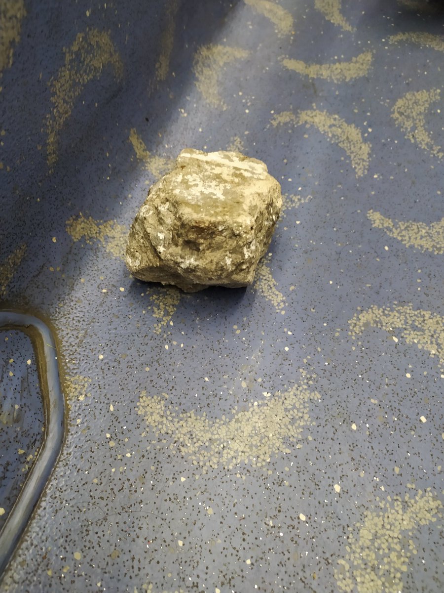 almiga's tweet photo. @MetrobusCDMX Nos aventaron una piedra a la altura de Mercado Beethoven. Fue un sujeto en situación de calle. Sin daños graves, pero qué susto 😨😣 https://t.co/dJskwP7kbY