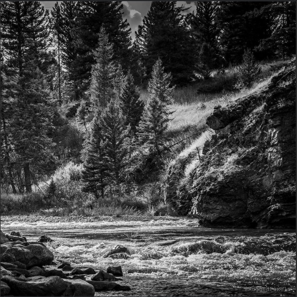 AfsMsu's tweet photo. For the #StreamCleanAFS, we're hosting a friendly stream cleanup competition with @umontanaAFS! Anyone in Montana is welcome to participate! (If you're outside MT, check out  https://t.co/P4e3ecup5l to find a cleanup near you!) #AFSVirtual2020 https://t.co/RJ0bK2ffQt