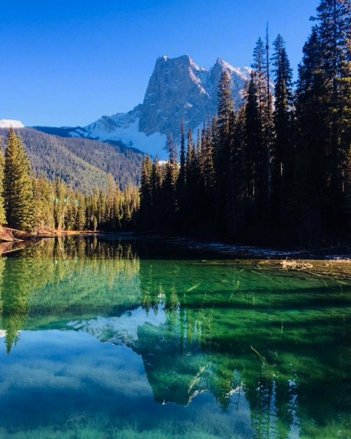 Pulsar_Cuantico's tweet photo. Emerald Lake 
📸: @un_pulsar [IG]

#Canada 🇨🇦 #photooftheday https://t.co/jWsGDwpNFq