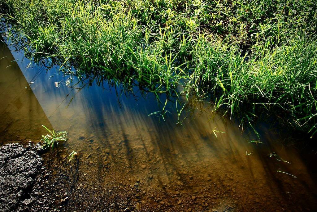 kikutaroid's tweet photo. 無題
#街歩き
#scene
#水溜り #puddle #pool
#植物 #plants
#路傍 #roadside
#陰翳 #shade
#sony #cybershot #cybershotr1 #dscr1 #r1
#compactdigitalcamera #comdigi #oldcomdigi
#10megapixels
#retouched https://t.co/JZcylYreDe https://t.co/8mYPiCQBMk